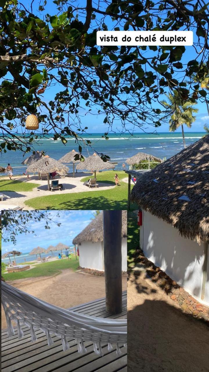 Pousada Farol Das Tartarugas Praia do Forte Εξωτερικό φωτογραφία